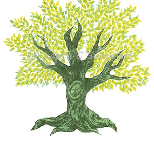May include: A hand-drawn illustration of a green tree with yellow leaves. The tree has a thick trunk with a round hole in it and a large root system.