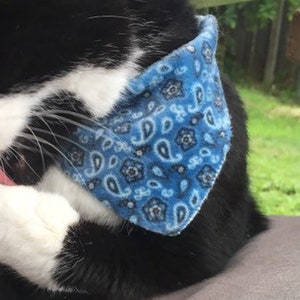 blue paisley catdana ; cat bandana, a bandanna for cats (also available in &quot;dog&quot;) ; stretchy tie-on minky cat clothes, also comes in red