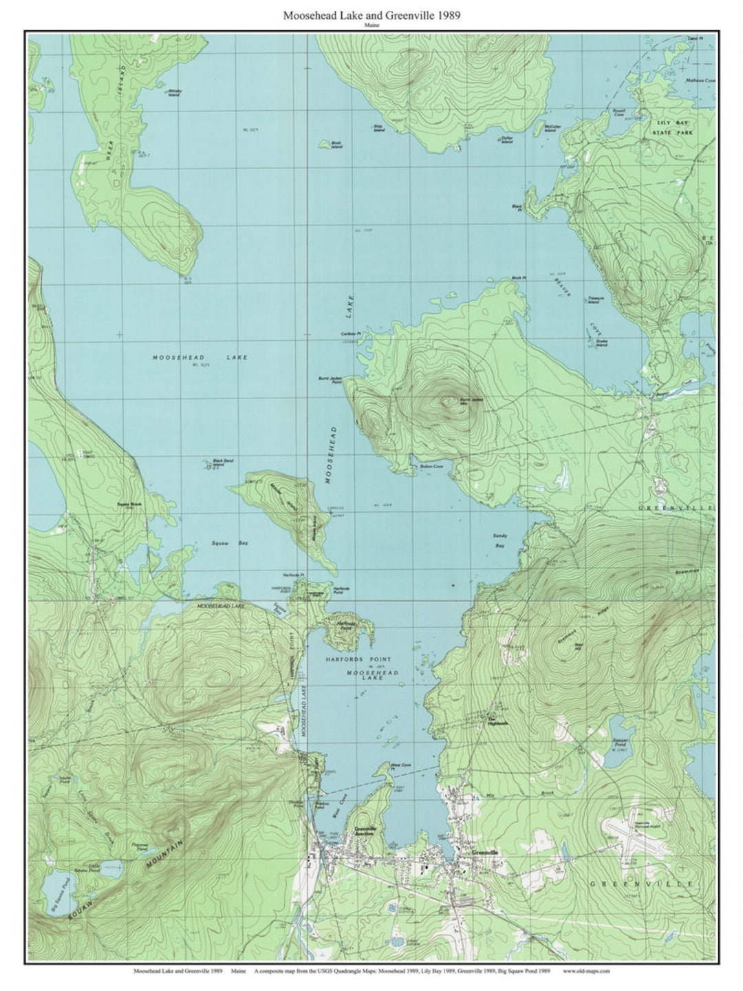 Moosehead Lake & Greenville 1989 Old Topographic Map USGS Custom