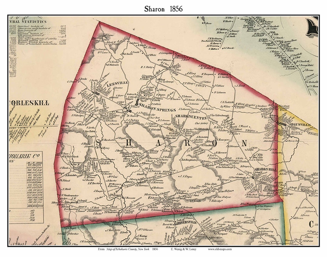 Sharon 1856 Old Town Map With Homeowner Names New York Sharon Springs