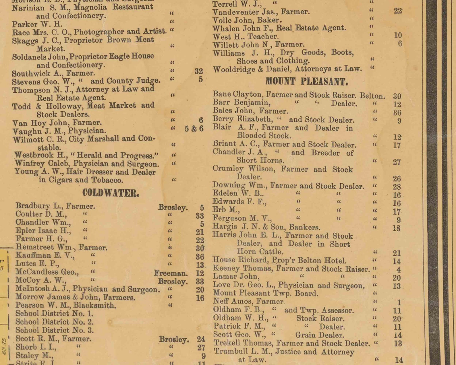 Cass County Missouri 1877 Old Wall Map With Landowner & Homeowner Names