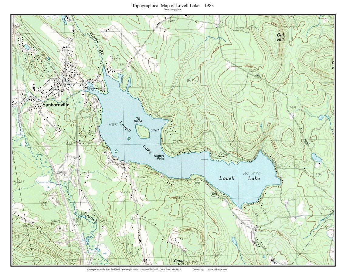 Lovell Lake 1983 Old Topographic Map USGS Custom Composite Etsy