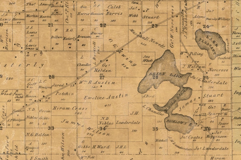 Walworth County Wisconsin 1857 Old Wall Map Reprint With Etsy