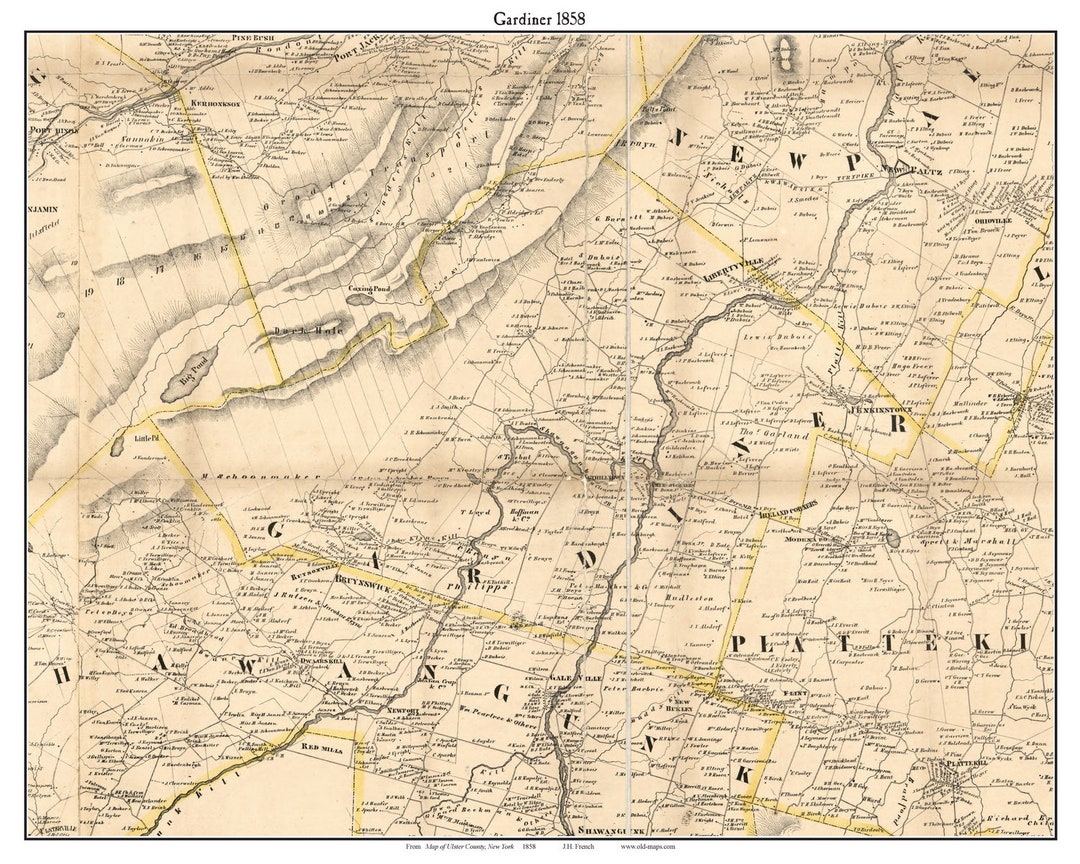 Gardiner New York 1858 Map Homeowners Names Libertyville Ireland
