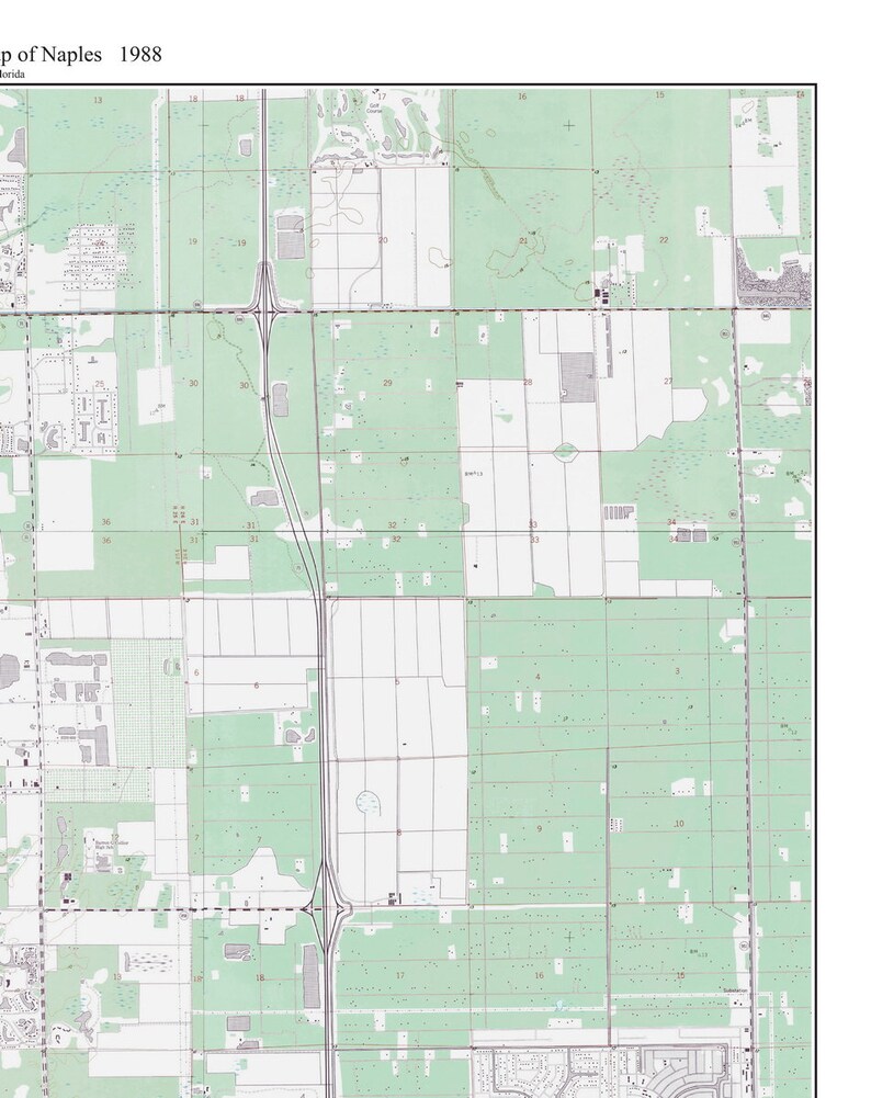 Naples, Florida 1988 Old Topo Map A Composite made from 6 old USGS Topographical Maps Custom Reprint image 4