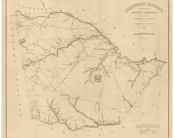 Lexington District South Carolina 1825 - County Wall Map - Homeowner names - Mills Atlas Reprint - RSY