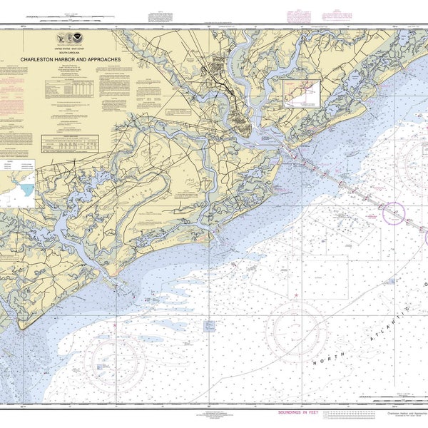 Charleston Harbor Approaches- 2010 - Isle of Palms Folly, Kiawah, Edisto Islands South Carolina - Nautical Map  Reprint  80000 AC Chart 1239