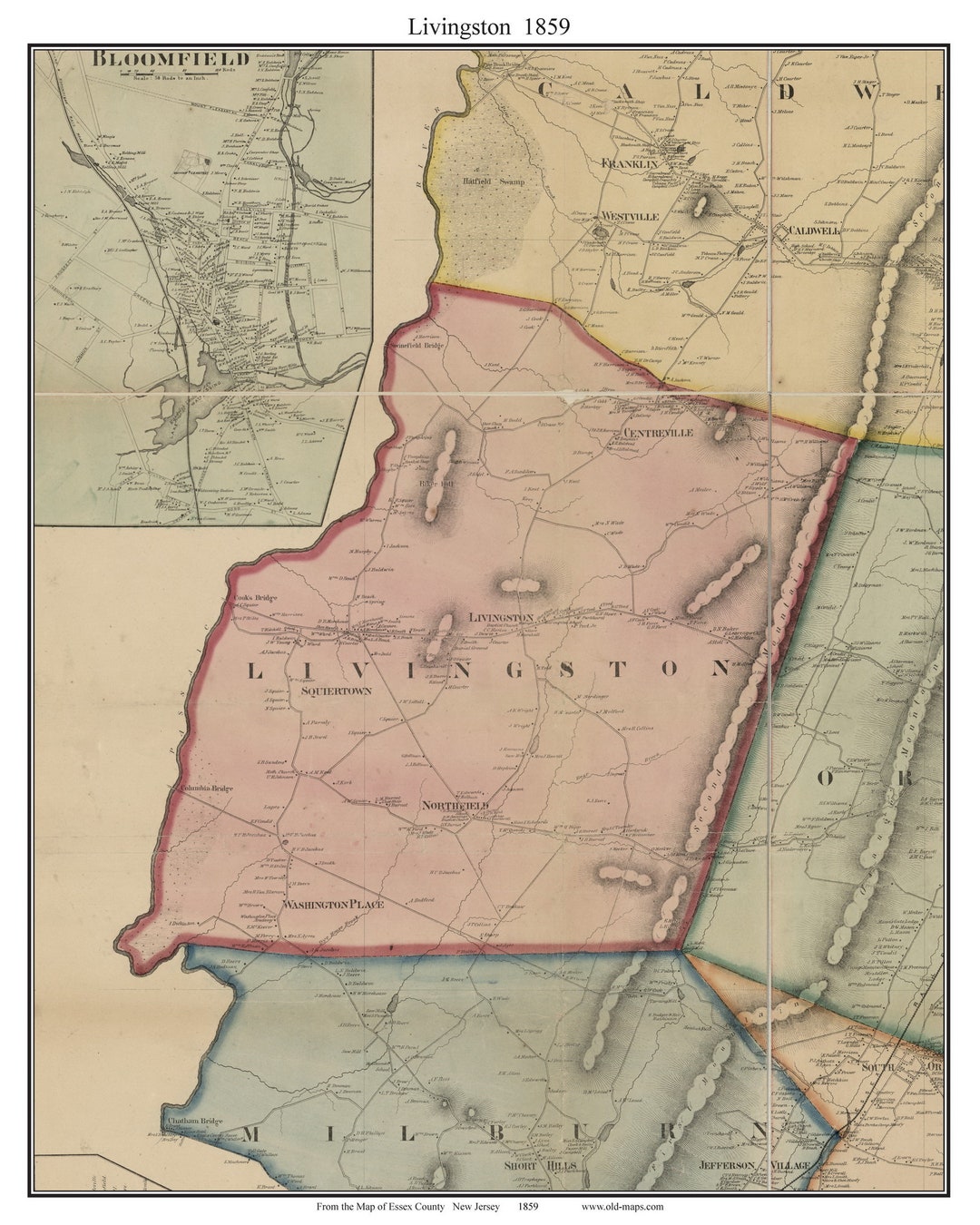 Livingston 1859 Old Town Map With Homeowner Names New Jersey Reprint