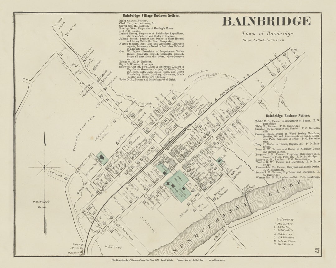 Bainbridge Village 1875 Old Map Homeowner Names Reprint Chenango Co