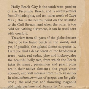 May include: A vintage text excerpt from a book about Holly Beach City, a beach town located in the south-west portion of the Five-mile Beach. The text describes the beach as the finest in the world and mentions the beautiful holly trees, persimmon and peach plum trees, and grape vines that grow in the area.