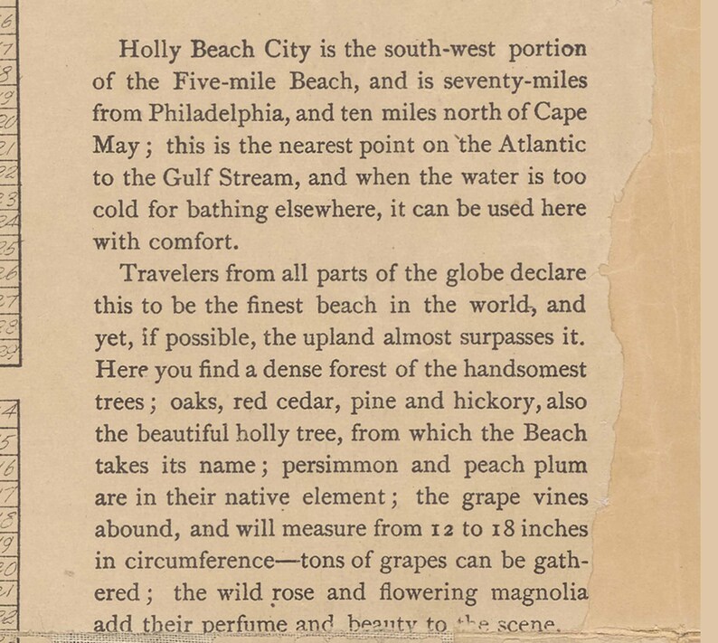 May include: A vintage text excerpt from a book about Holly Beach City, a beach town located in the south-west portion of the Five-mile Beach. The text describes the beach as the finest in the world and mentions the beautiful holly trees, persimmon and peach plum trees, and grape vines that grow in the area.
