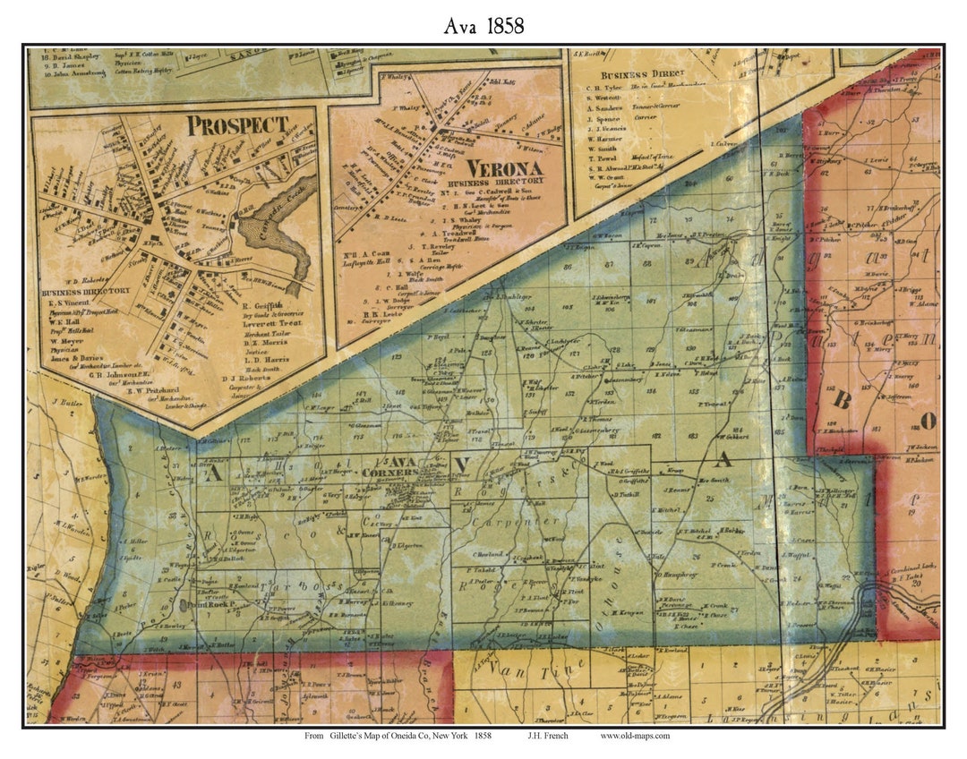 Ava 1858 Old Town Map With Homeowner Names New York Reprint Genealogy