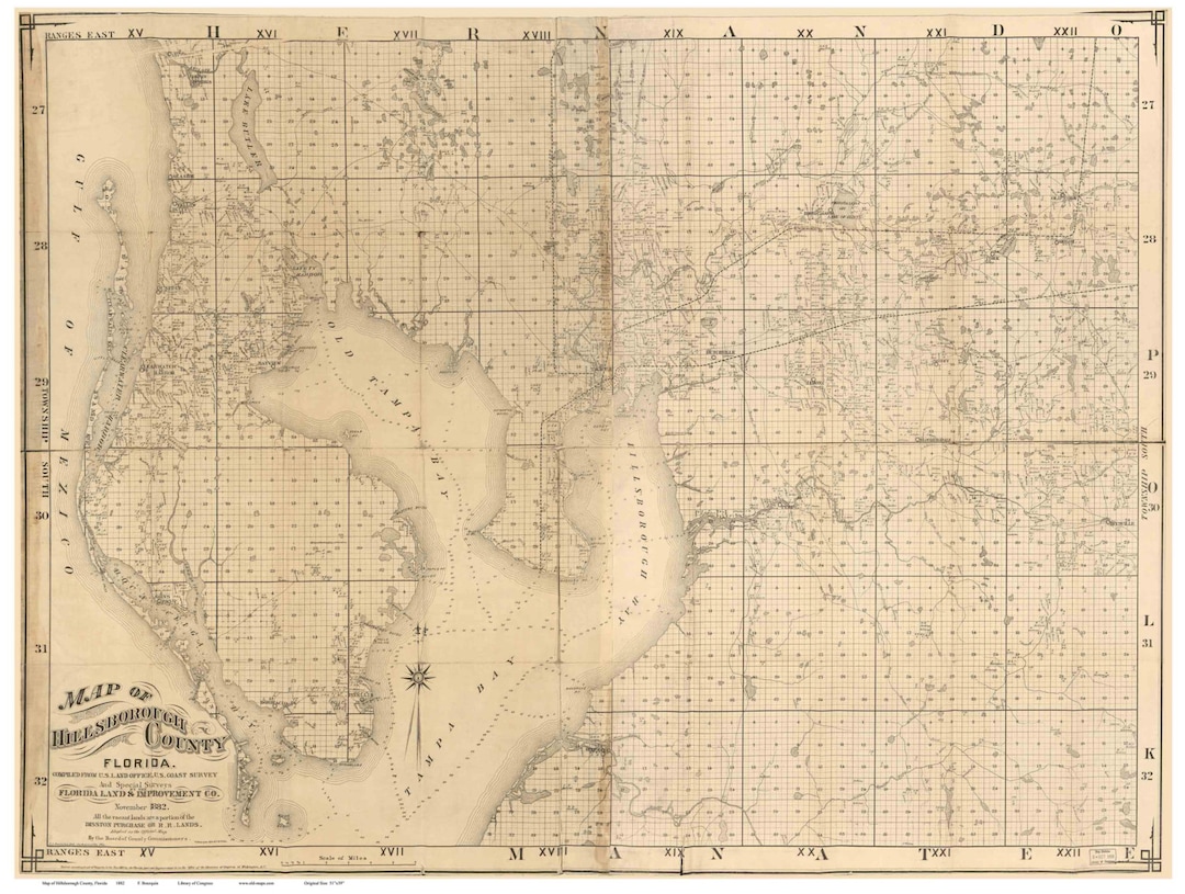 Hillsborough County Florida 1882 - Old Wall Map Reprint with Homeowner  Names - Genealogy - Etsy México, image size:1080x815