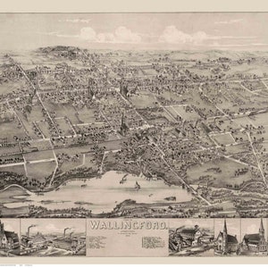 Wallingford  Connecticut  1881 Birds Eye View CT Reprint