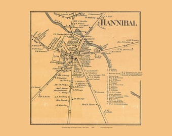 Hannibal Village 1889 Old Town Map with Homeowner Names New York - Reprint Genealogy Oswego County NY TM