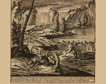 Niagara Falls 1731 Map by Moll - Custom Reprint - Beavers - North America