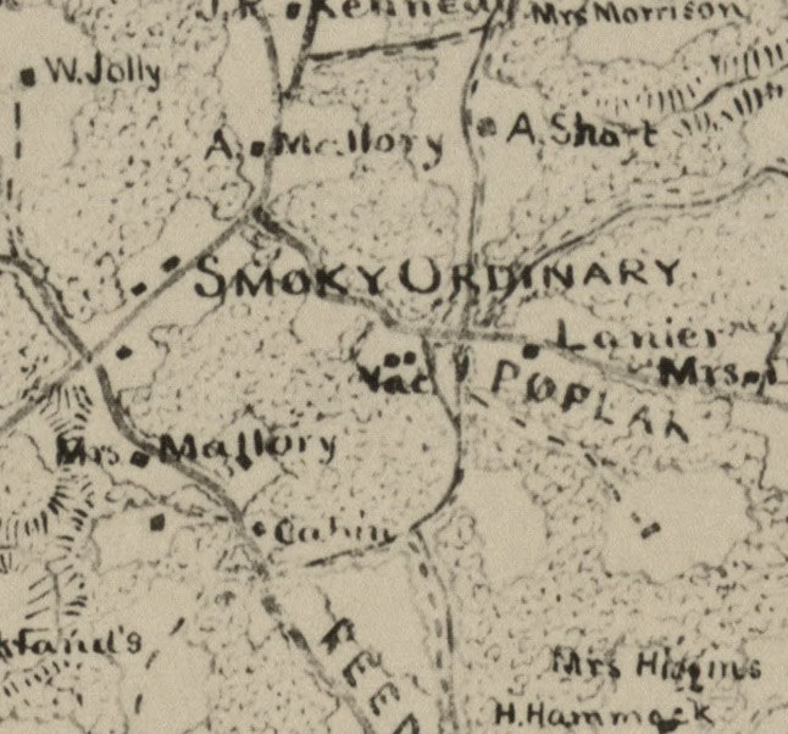 Brunswick County Virginia 1864 Old Wall Map With Homeowner Etsy