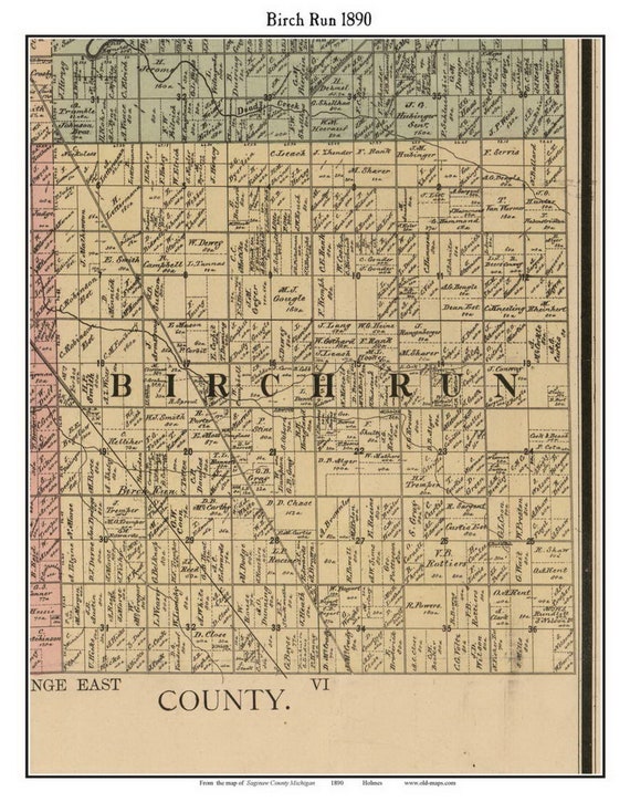 Birch Run 1890 Old Town Map With Homeowner Names Michigan