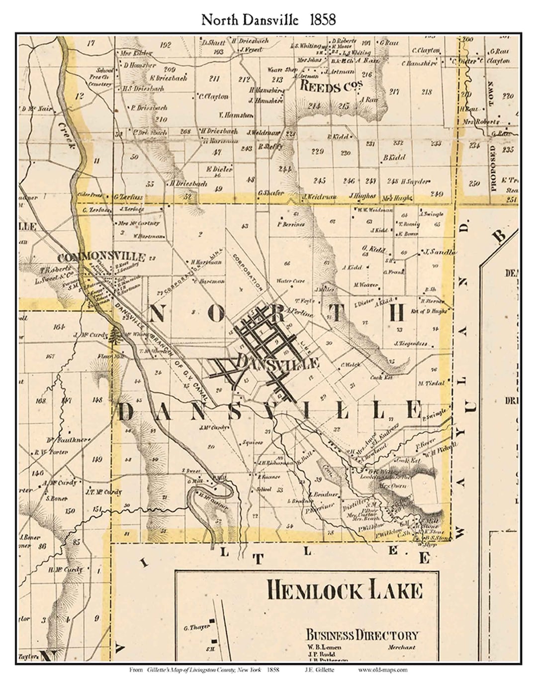 North Dansville 1858 Old Town Map With Homeowner Names New York Reprint Genealogy Livingston