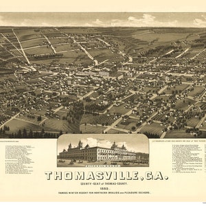 Columbus Georgia - Old 1885 Birds Eye View  - Reprint