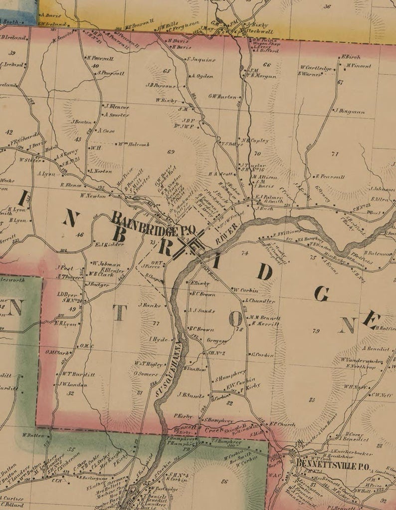 Chenango & Cortland Counties New York 1863 Wall Map Reprint Etsy