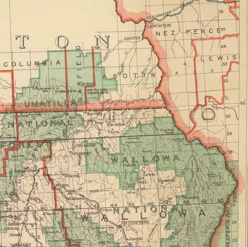 Oregon 1922 National Forests State Map Old Map Reprint Etsy
