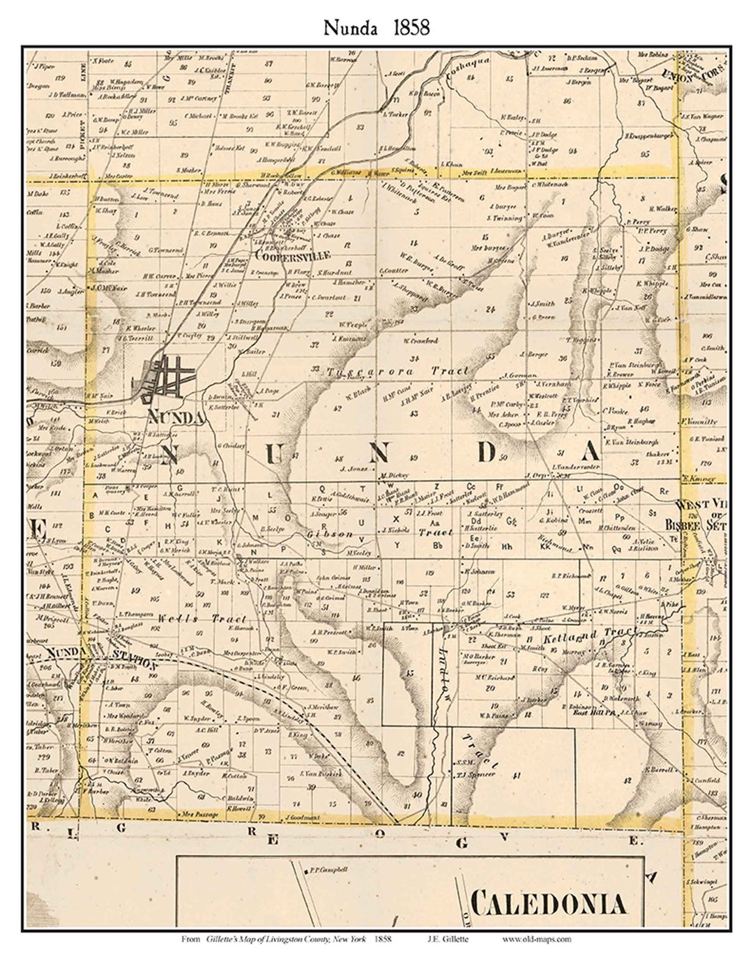 Nunda 1858 Old Town Map With Homeowner Names New York Reprint Genealogy