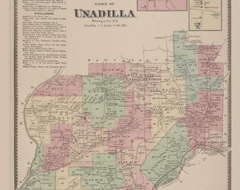Unadilla 1868 Old Town Map Reprint Otsego County, New York, Homeowner Names, Genealogy  NY Atlas #38
