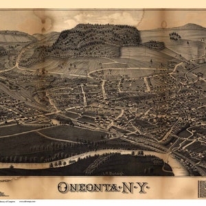 Oneonta - 1884 Birds Eye View - New York - Reprint