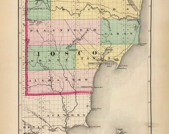 Iosco County Michigan 1873    - MI Atlas 1873  #65