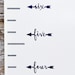 Height Marker for Growth Chart Ruler - Vinyl Decal Arrow in Script - Measuring Mark