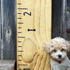 Height Marker for Growth Chart Ruler Mini Dog Bone Decal Measuring Mark image 1