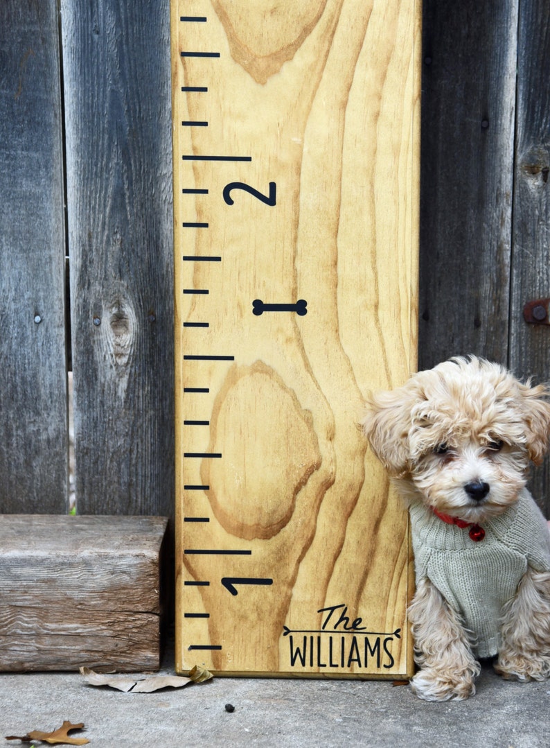 Height Marker for Growth Chart Ruler Mini Dog Bone Decal Measuring Mark image 1