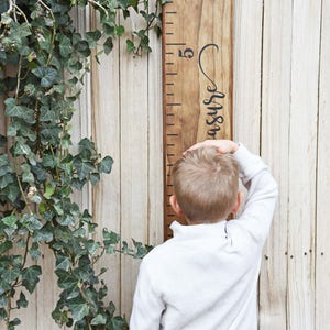 Growth Chart Ruler Add-On For the Side Loved Beyond Measure image 4