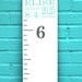 Growth Chart Ruler Add-On -- Custom Personalized Decal -- Top Header -- Name and Birth Stats -- Subway Art Style