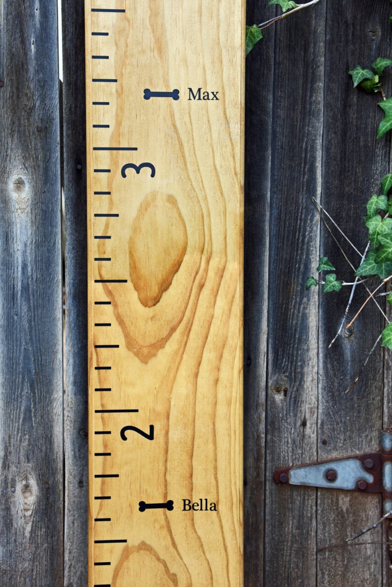 Height Marker for Growth Chart Ruler Mini Dog Bone Decal Measuring Mark image 3