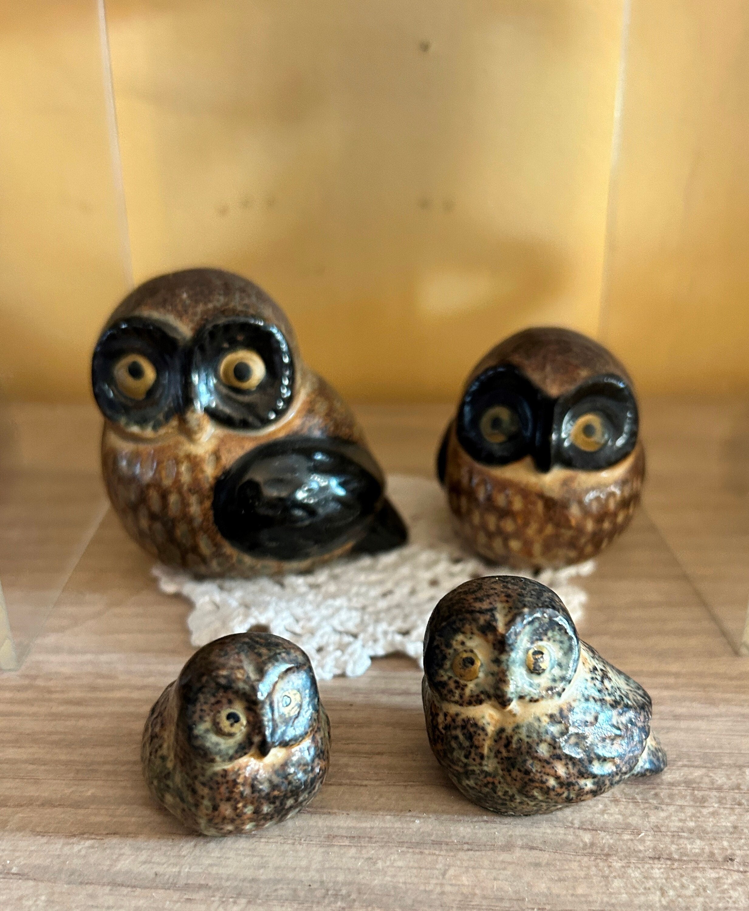 Tiny Owl Mama Papa and 2 Chicks