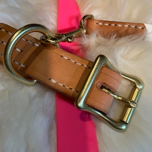 Leather and Biothane Dog Collars. 1&quot; Natural Veg Tanned Leather + Pink Biothane Sporty Dog Collar w/Shiny Solid Brass Roller Buckle + D-ring