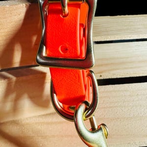 Waterproof Orange Crush Practical Durable Sporty Biothane Snow Collar for Active Fun Loving Dogs Vibrant Colors Making Your Dog Easy to Spot