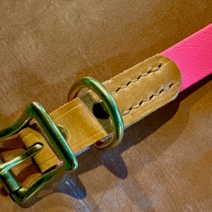 Leather + Biothane Collar and Leash Set, Juicy Pink Biothane, English London Tan Bridle Leather, Solid Brass Hardware, RIveted and Stitched