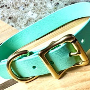 Waterproof Seafoam Collar Sporty Durable Biothane Snow Collar for Active Fun Loving Dogs Vibrant Colors Making Your Dog Easy to Spot