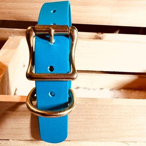 Waterproof Teal Blue Durable Practical Sporty Biothane Snow Collar for Active Fun Loving Dogs Vibrant Colors Making Your Dog Easy to Spot