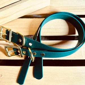 Waterproof Forest Green Durable Practical Sporty Biothane Snow Collar for Active Fun Loving Dogs Vibrant Colors Making Your Dog Easy to Spot