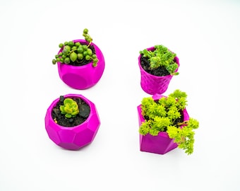 Purple Succulent Pots - Set of 4 Mini Glossy Planters