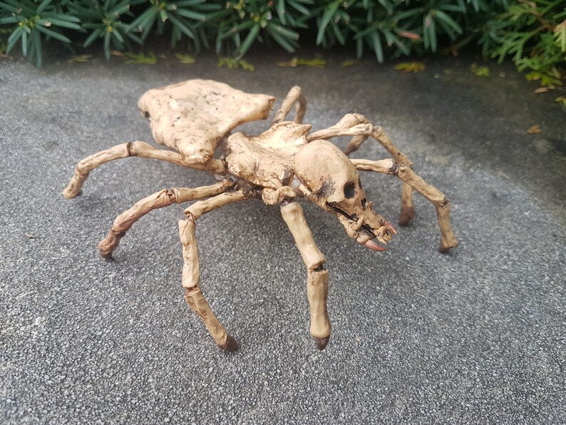 Skeleton Spider