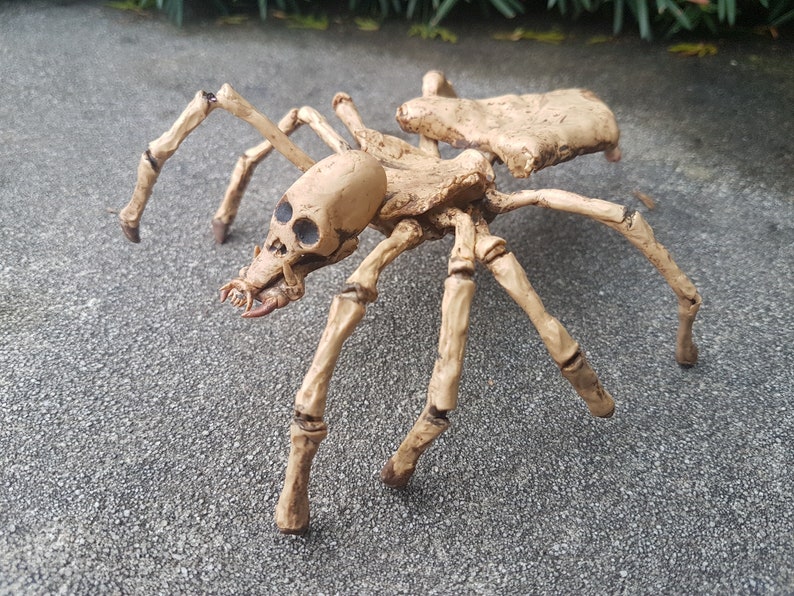 Skeleton Spider