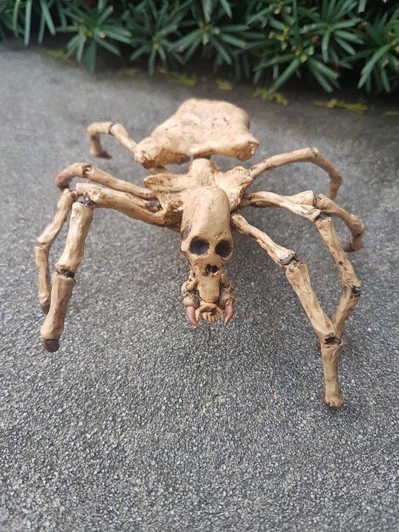 Skeleton Spider