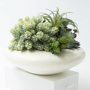 May include: A white ceramic planter with a unique shape, featuring a variety of green succulents and air plants.