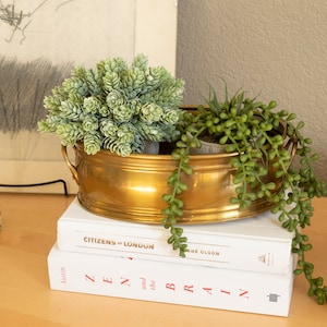 May include: Two white books stacked on top of each other. The top book has the title "Citizens of London" and the bottom book has the title "Zen and the Brain". A gold oval planter with two handles sits on top of the books. The planter contains two green succulent plants.
