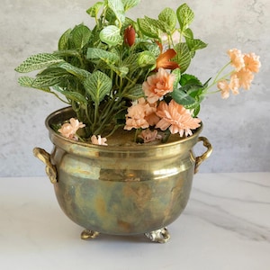 May include: A brass planter with three feet and two handles, filled with green leafy plants and pink flowers.